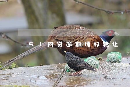 51网贷逾期债权转让 51网贷逾期债权转让