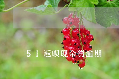 51返呗现金贷逾期