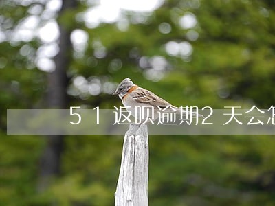 51返呗逾期2天会怎么样