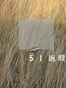 51返呗逾期一天有什么后果