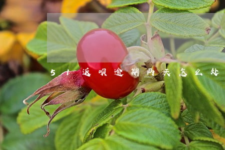 51返呗逾期两天怎么处理 51返呗逾期两天怎么处理