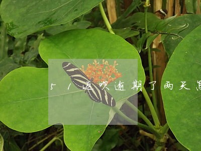 51返呗逾期了两天怎么办 51返呗逾期了两天怎么办
