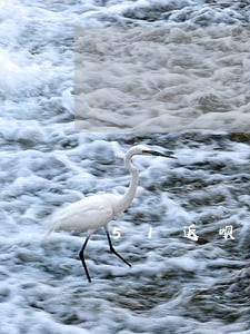 51返呗逾期会打电话吗 51返呗逾期会打电话吗