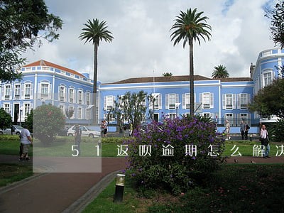 51返呗逾期怎么解决