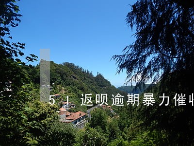 51返呗逾期暴力催收 51返呗逾期暴力催收
