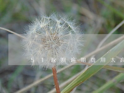 51返呗逾期费用太高 51返呗逾期费用太高
