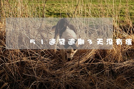 51速贷逾期3天没有催收 51速贷逾期3天没有催收