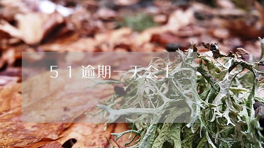 51逾期一天会上 51逾期一天会上