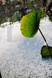 51逾期四天 51逾期四天