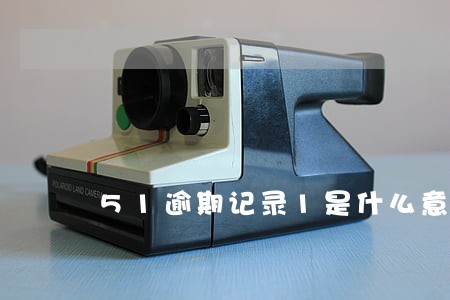 51逾期记录1是什么意思 51逾期记录1是什么意思