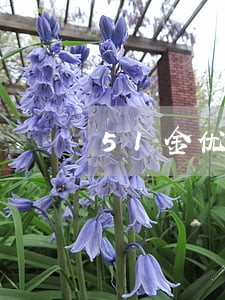 51金优贷逾期 51金优贷逾期