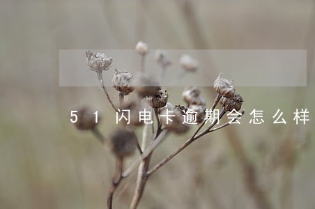 51闪电卡逾期会怎么样 51闪电卡逾期会怎么样