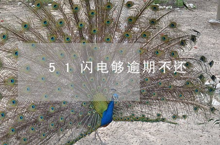 51闪电够逾期不还 51闪电够逾期不还