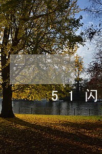 51闪电购怎么算逾期