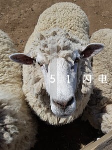 51闪电购还款时间怎么算逾期 51闪电购还款时间怎么算逾期