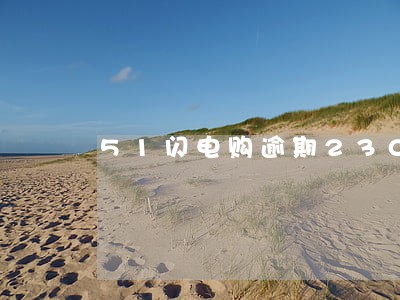51闪电购逾期230天 51闪电购逾期230天