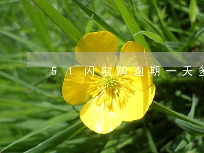 51闪电购逾期一天多少 51闪电购逾期一天多少
