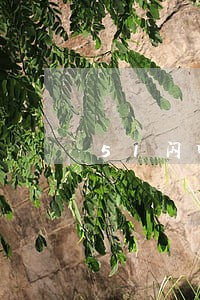 51闪电购逾期一天怎样 51闪电购逾期一天怎样