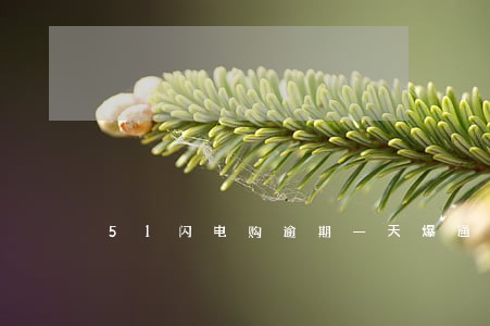 51闪电购逾期一天爆通信录 51闪电购逾期一天爆通信录