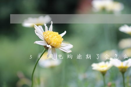 51闪电购逾期了会怎么样