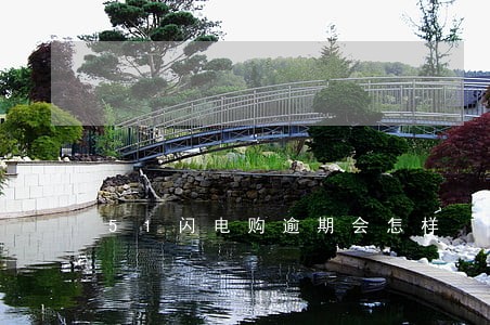 51闪电购逾期会怎样 51闪电购逾期会怎样