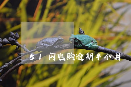 51闪电购逾期半个月 51闪电购逾期半个月