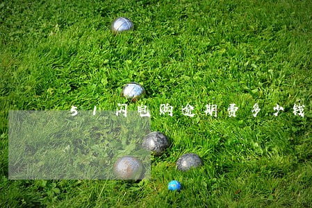 51闪电购逾期费多少钱 51闪电购逾期费多少钱