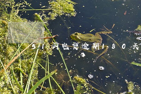51闪电贷逾期180天 51闪电贷逾期180天