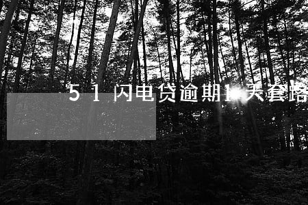 51闪电贷逾期1天套路吗 51闪电贷逾期1天套路吗