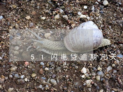 51闪电贷逾期几天