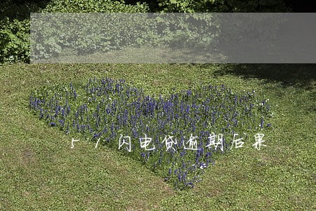 51闪电贷逾期后果 51闪电贷逾期后果
