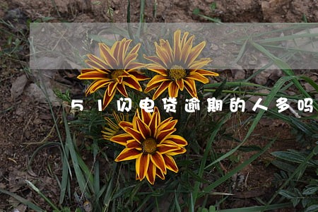 51闪电贷逾期的人多吗 51闪电贷逾期的人多吗
