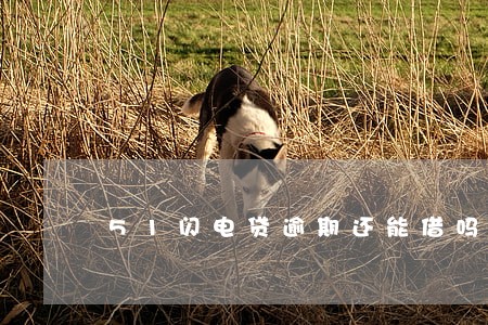 51闪电贷逾期还能借吗 51闪电贷逾期还能借吗