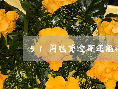 51闪电贷逾期还能接吗 51闪电贷逾期还能接吗