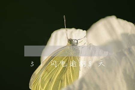 51闪电逾期8天 51闪电逾期8天