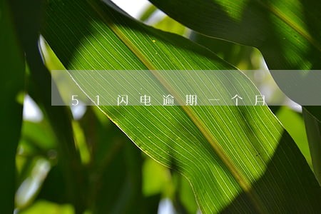 51闪电逾期一个月 51闪电逾期一个月