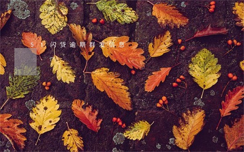 51闪贷逾期群发信息 51闪贷逾期群发信息