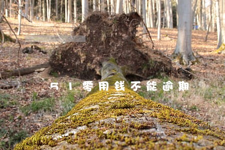 51零用钱不能逾期 51零用钱不能逾期