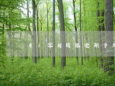 51零用钱能逾期多久 51零用钱能逾期多久