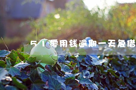 51零用钱逾期一天复借 51零用钱逾期一天复借