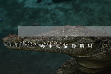 51零用钱逾期后果 51零用钱逾期后果