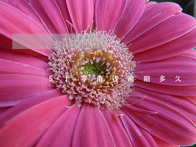 51零用钱逾期多久 51零用钱逾期多久