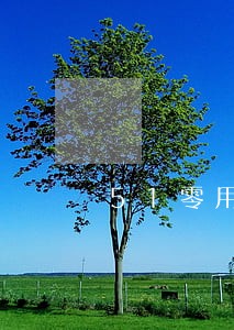 51零用钱逾期怎么再借 51零用钱逾期怎么再借