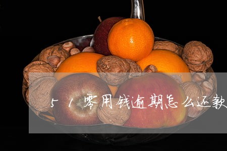 51零用钱逾期怎么还款 51零用钱逾期怎么还款