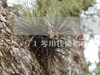 51零用钱逾期没打电话 51零用钱逾期没打电话