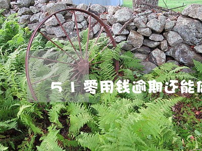 51零用钱逾期还能借么 51零用钱逾期还能借么