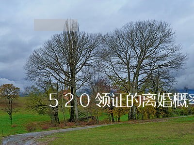 520领证的离婚概率高 520领证的离婚概率高
