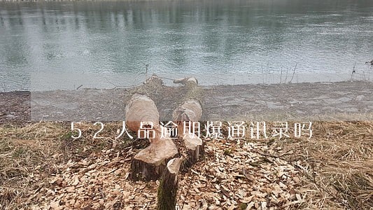52人品逾期爆通讯录吗 52人品逾期爆通讯录吗