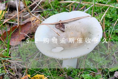 52购物逾期催收多久