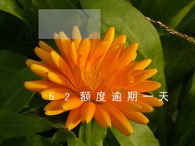 52额度逾期一天 52额度逾期一天